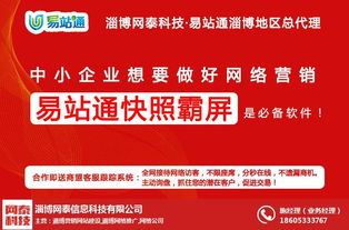 淄博网泰科技 以亲民价格提供优质网络技术推广服务的专业选择